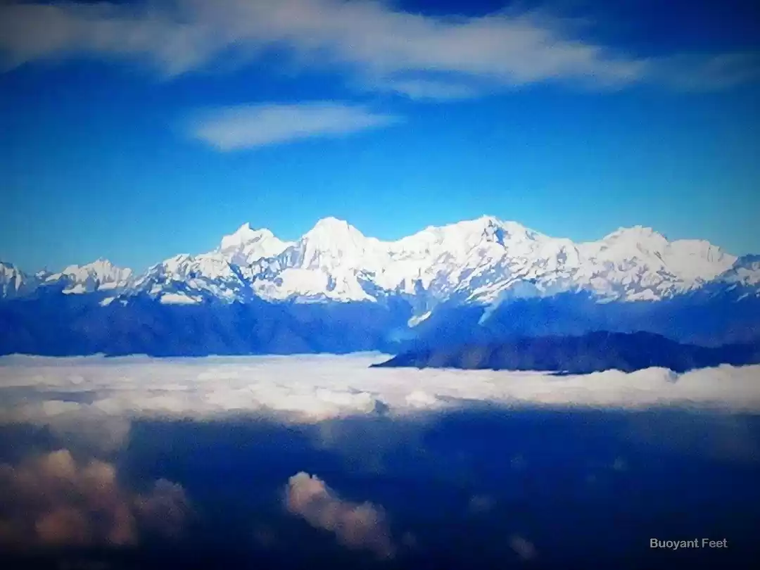 Photo of Ditching her corpora