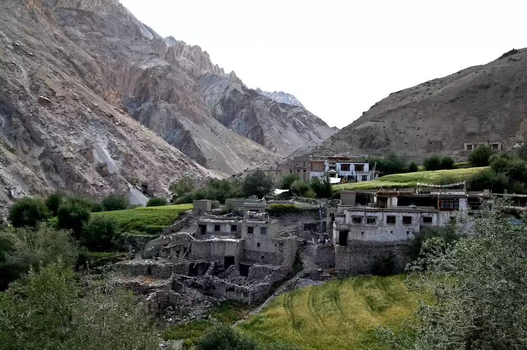 Photo of The story of Paras L