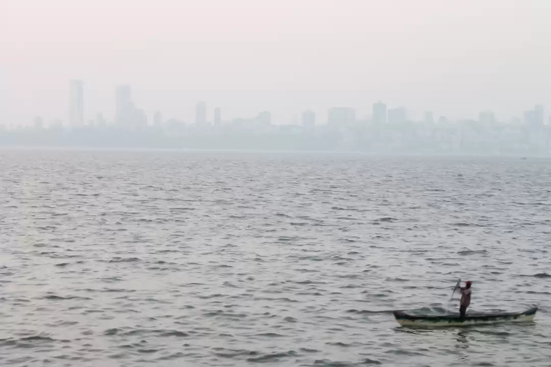 Photo of Must-dos for all wan