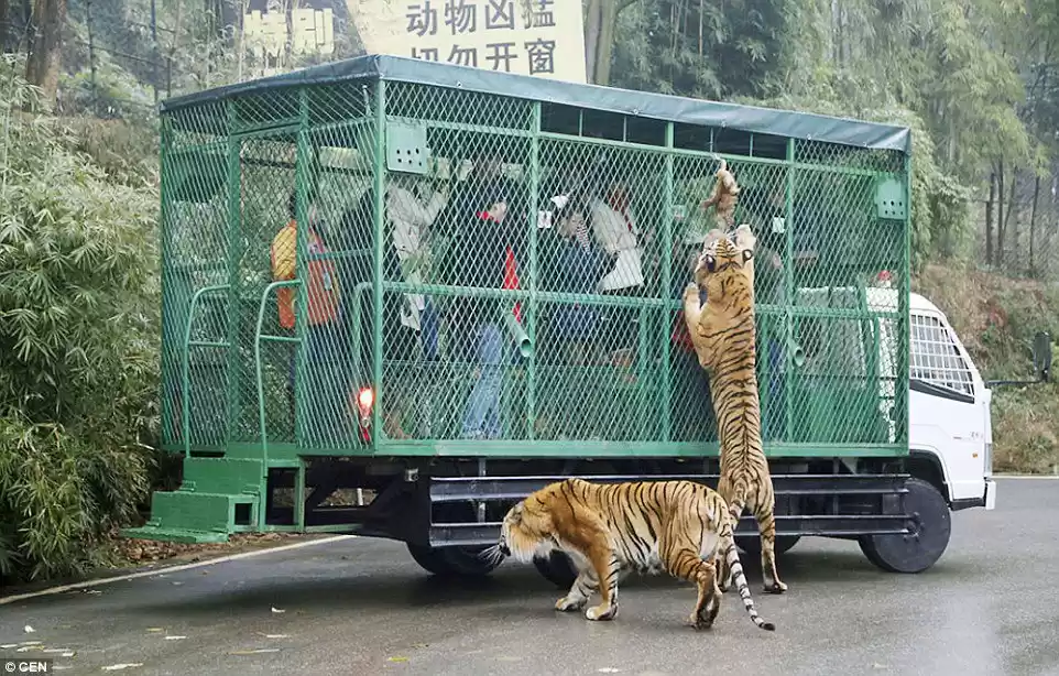 Photo of This Zoo In China Le