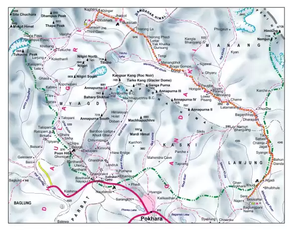 Photo of My first himalayan a