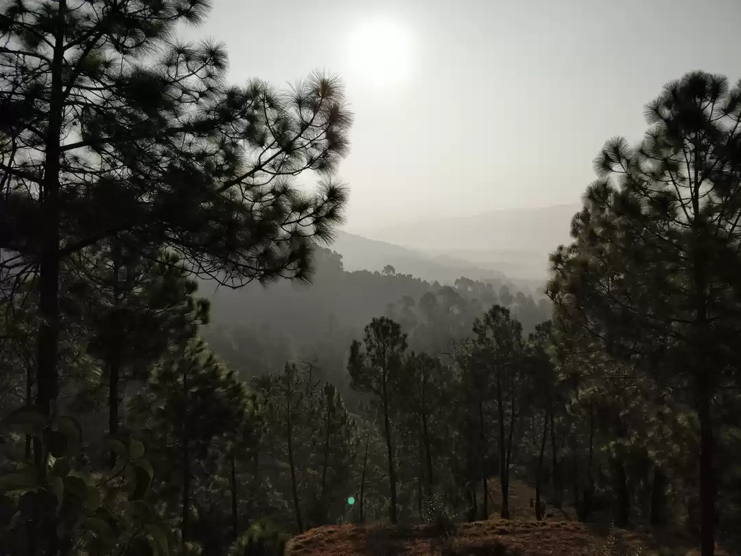 Photo of Exploring Kumaon reg