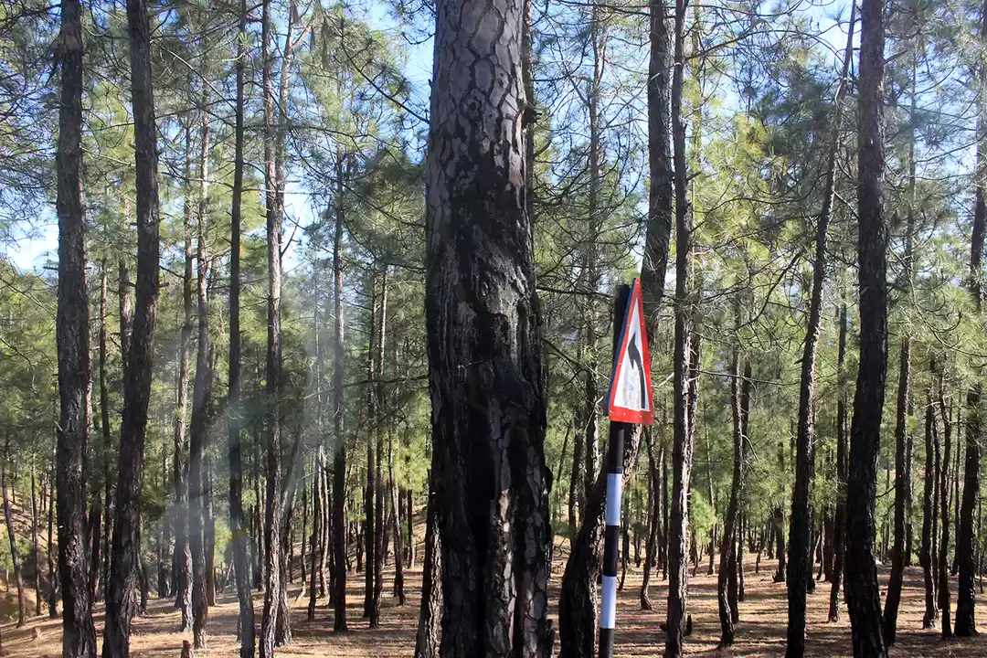 Photo of Binsar Valley: The u