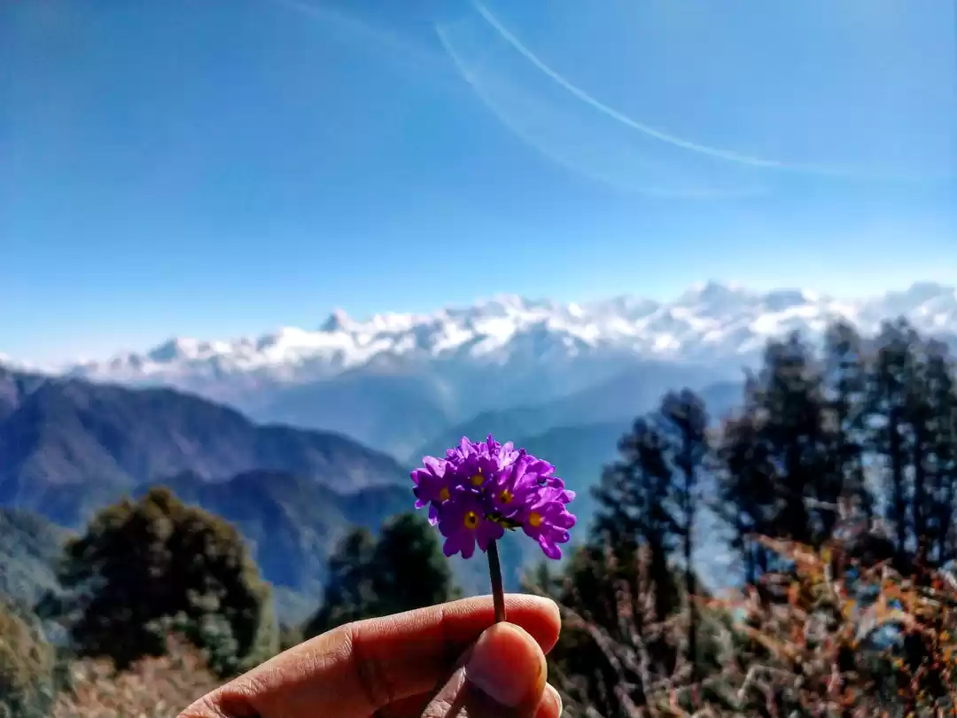 Photo of A Trek to Heavenly M