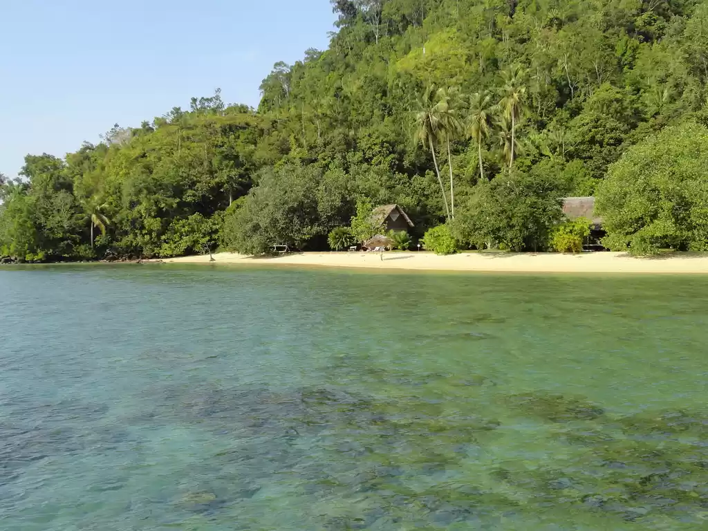 Photo of From Active Volcanoe