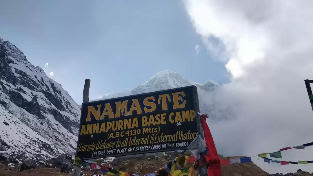 Photo of Everything you need 