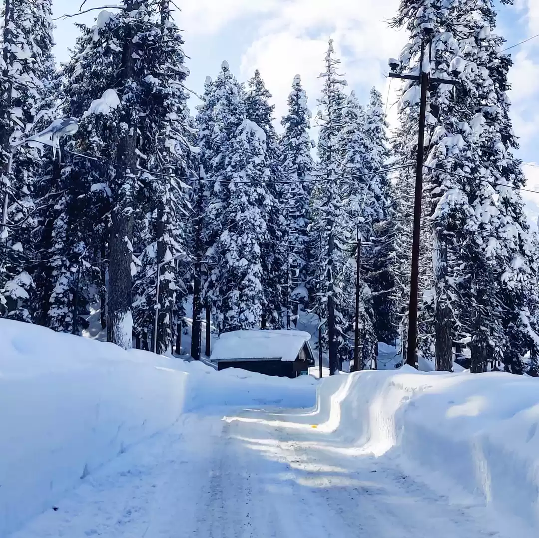 Photo of Gulmarg: A Winter's 