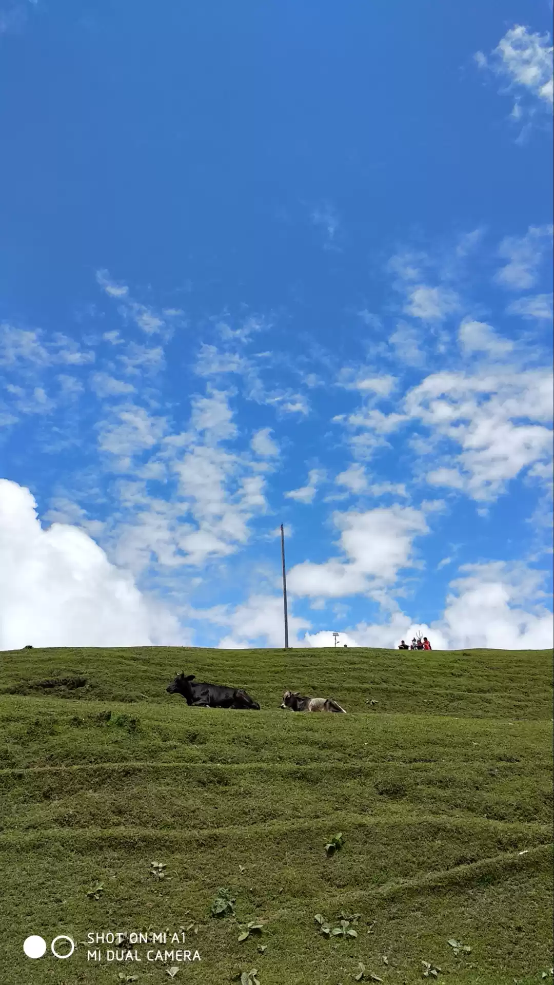 Photo of Bijli mahadev kullu