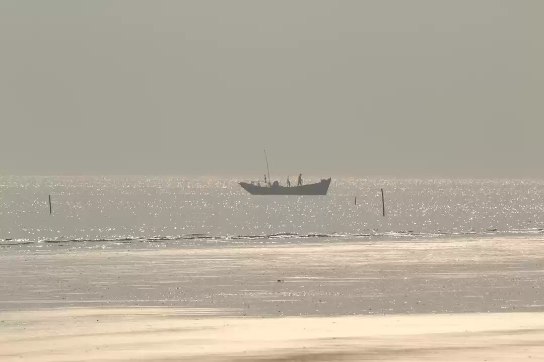 Photo of Serene and comparati