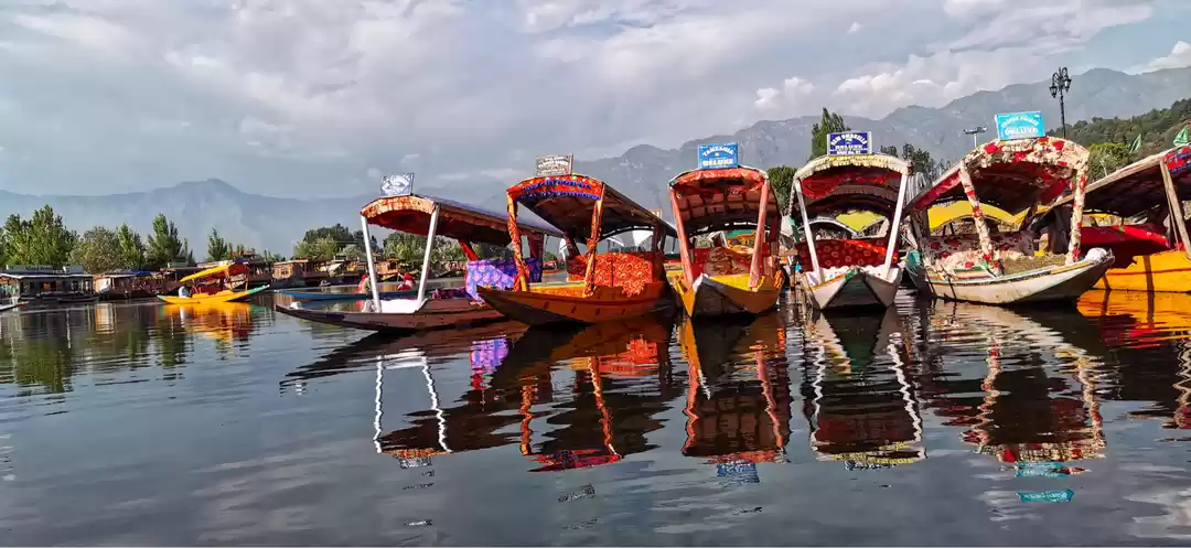 Photo of Dal Lake - Sail and 