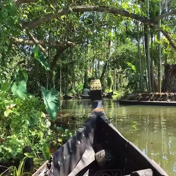 Photo of Alleppey: A Collecti
