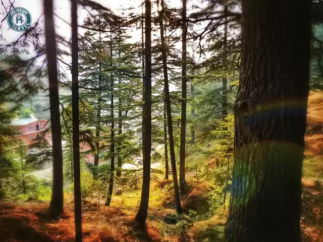 Photo of Kodaikanal-Munnar wi