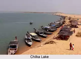 Photo of New Year At Puri!