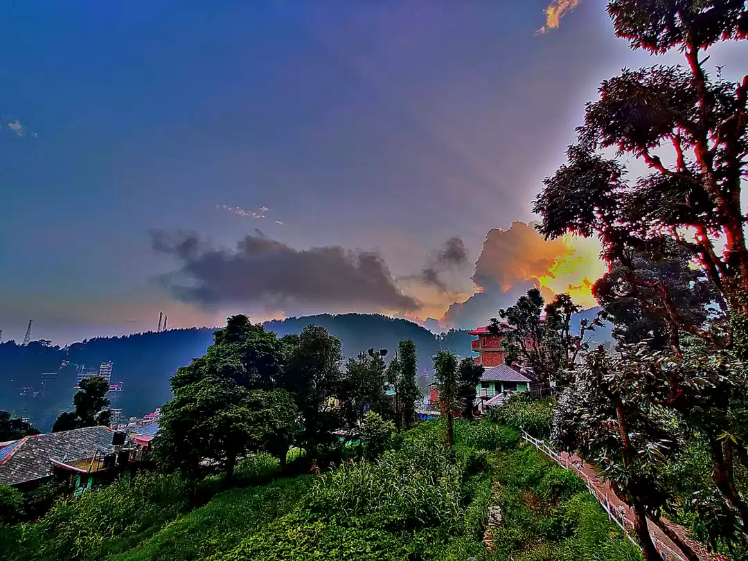 Photo of She believed she cou