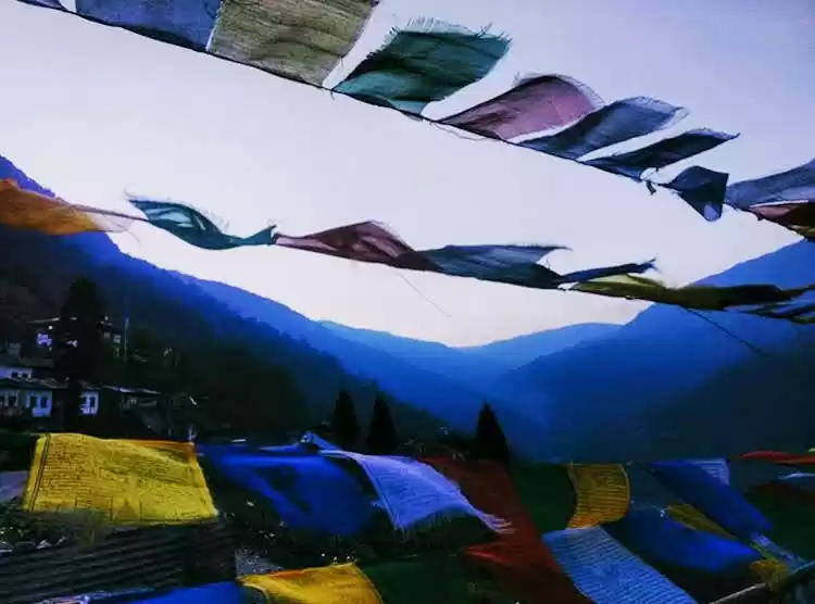 Photo of The experience which