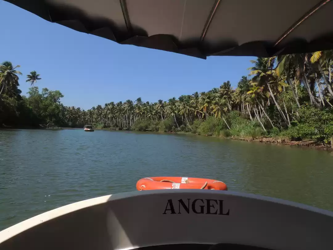 Photo of Poovar Island - a hi