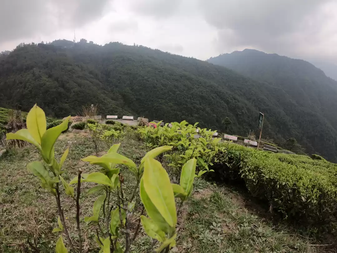Photo of Darjeeling - an awe