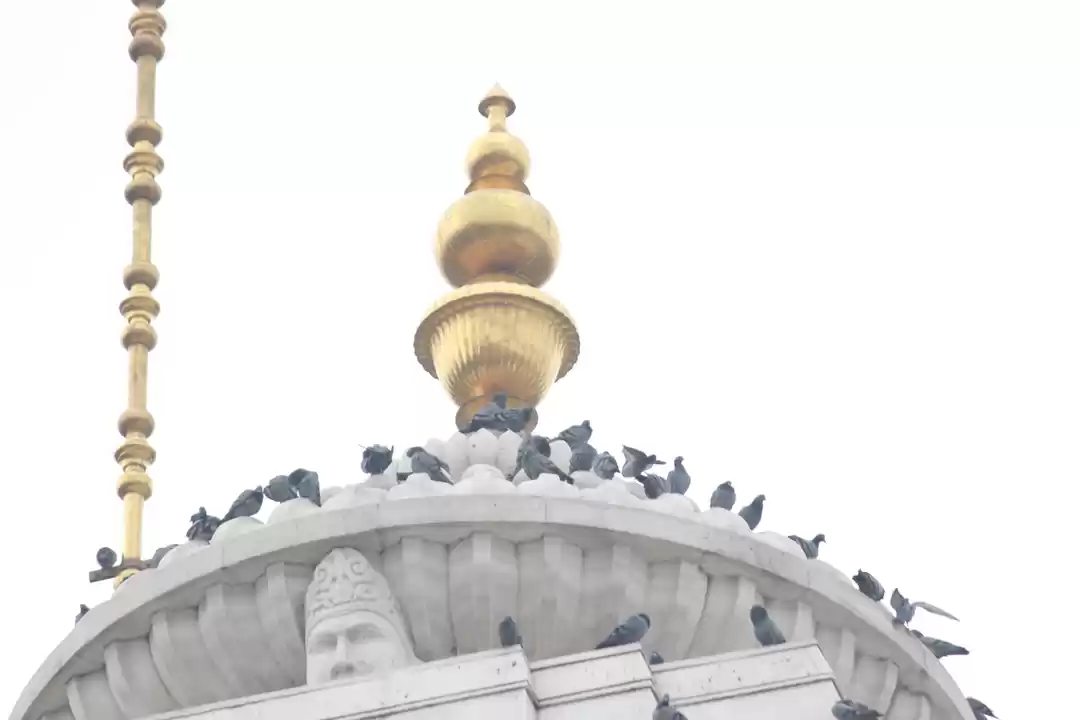 Photo of Jaipur under 1500 bu