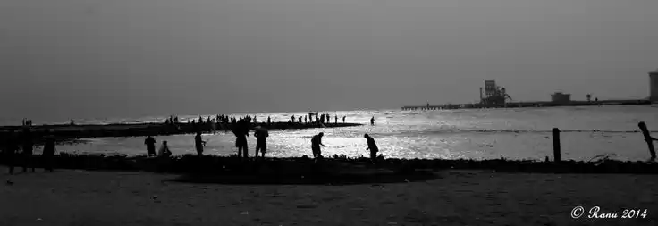 Photo of 5 reasons why you sh