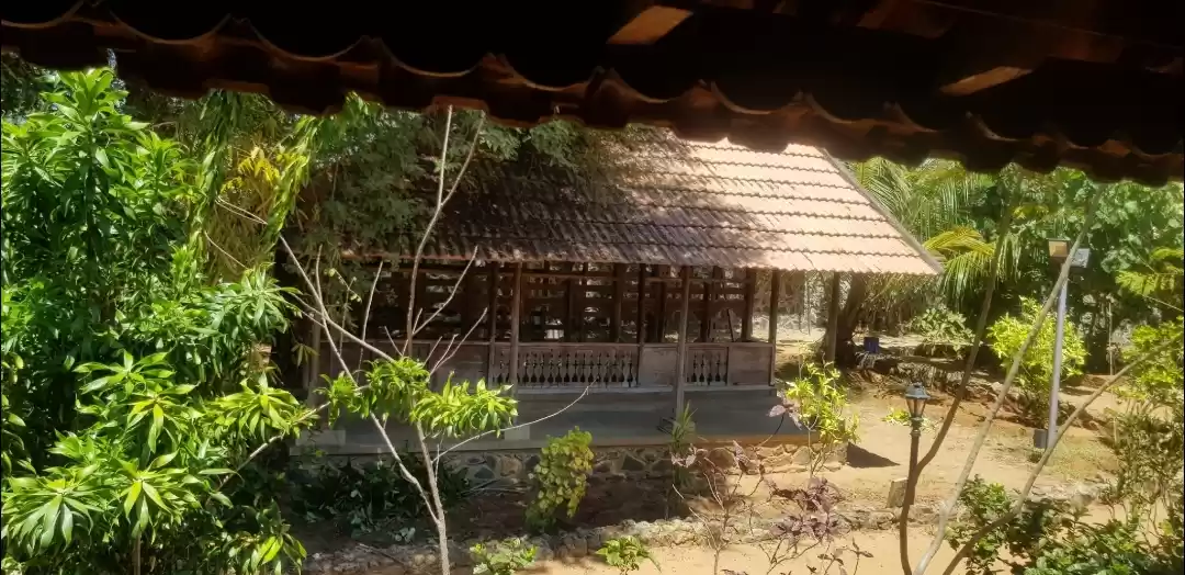 Photo of An insight into home