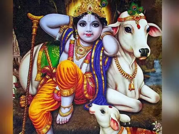 Photo of Krishna ka Van : Vri