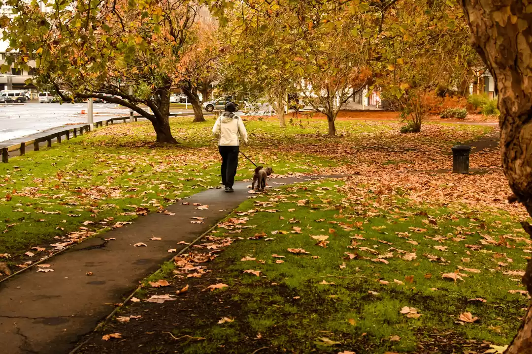 Photo of Must See Places in A