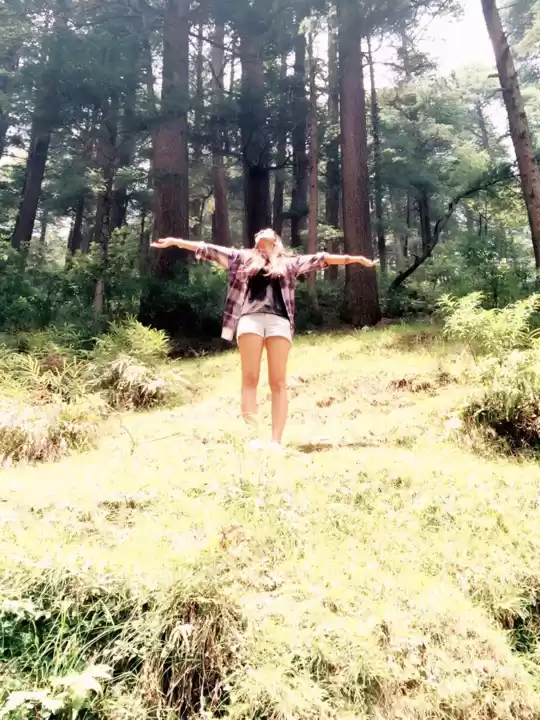 Photo of Why Himachal? - A Co