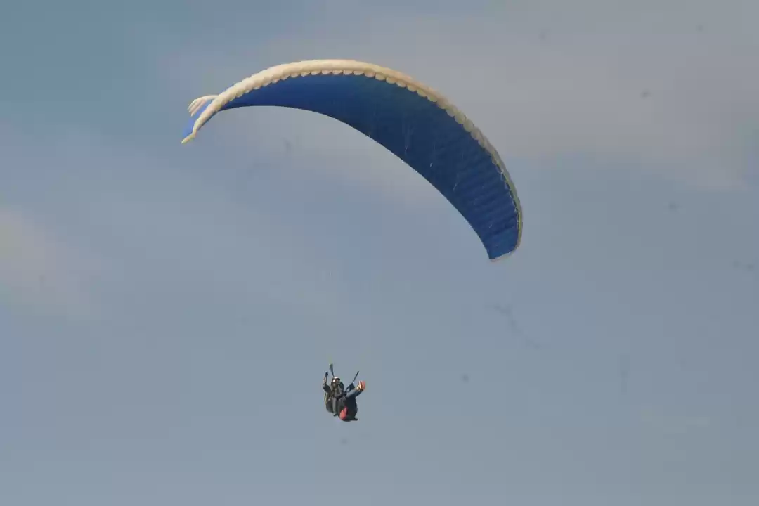 Photo of Bir Billing - My fir