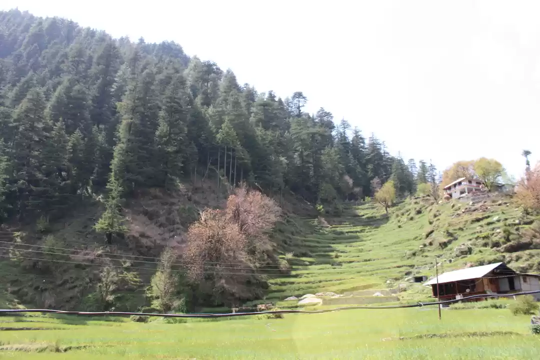 Photo of Barot- Far away from
