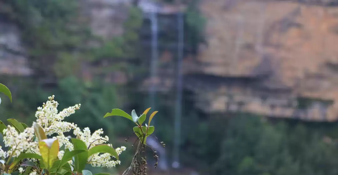 Photo of Australia : Hiking B
