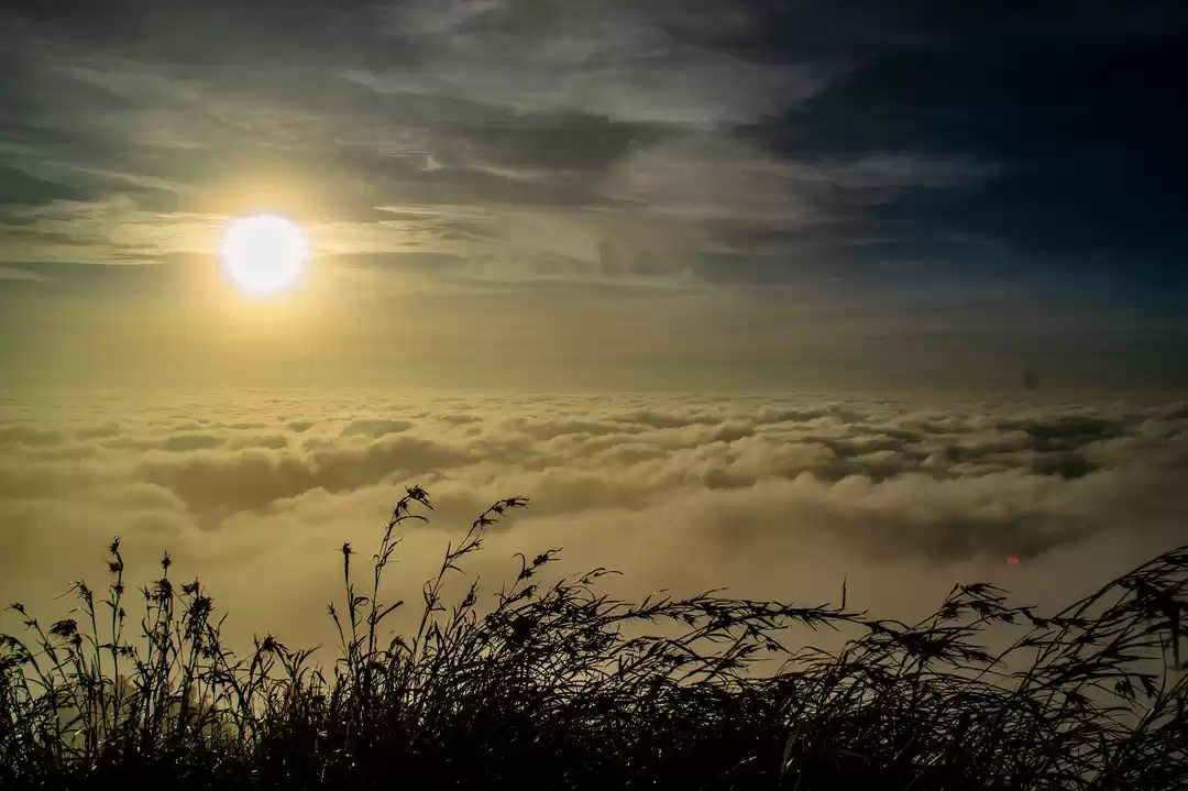 Photo of Compilation of the b