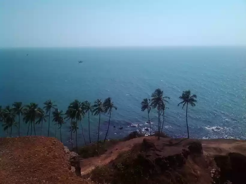 Photo of South Goa calling!