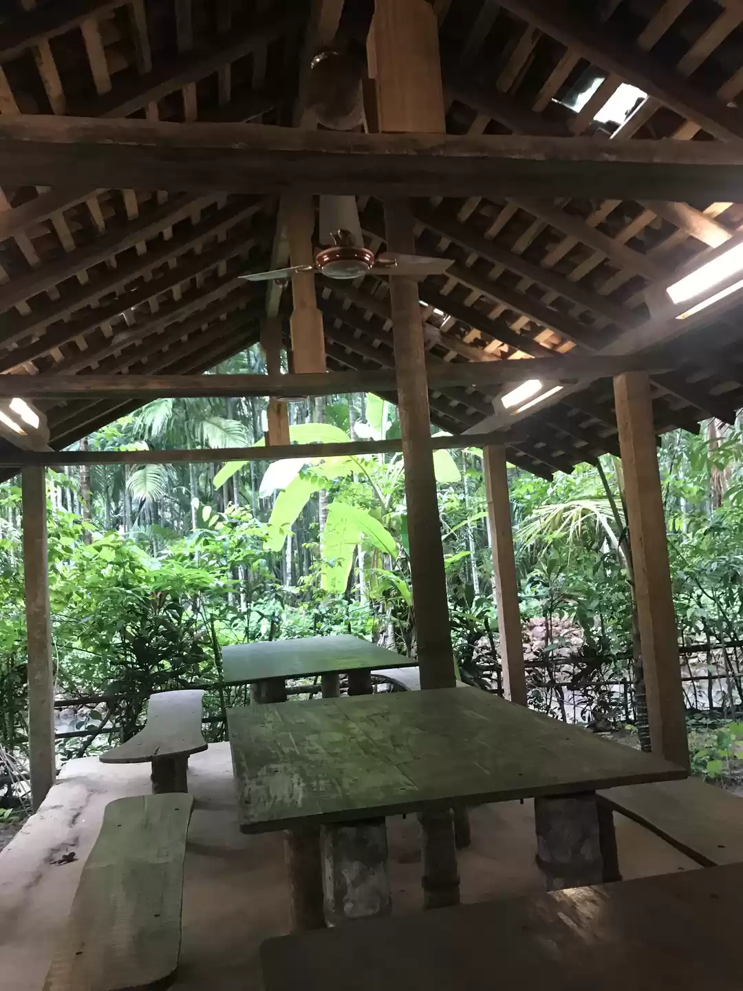 Photo of Uncharted glimpse of