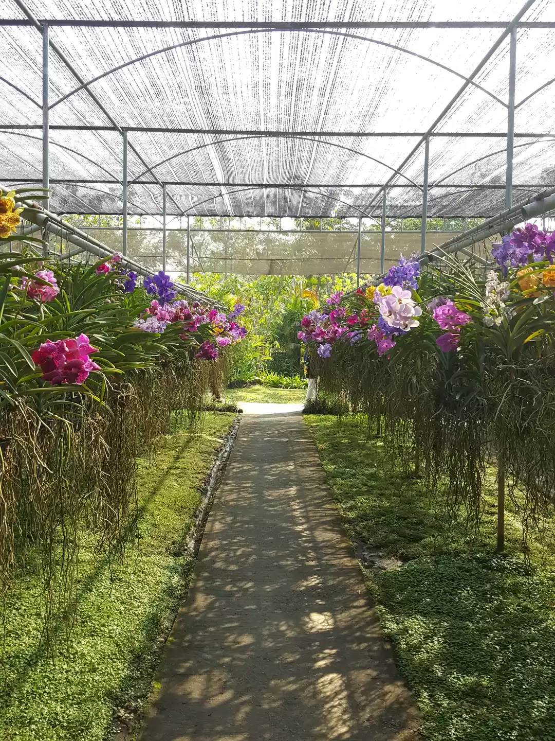 Photo of In a Chiang Mai stat