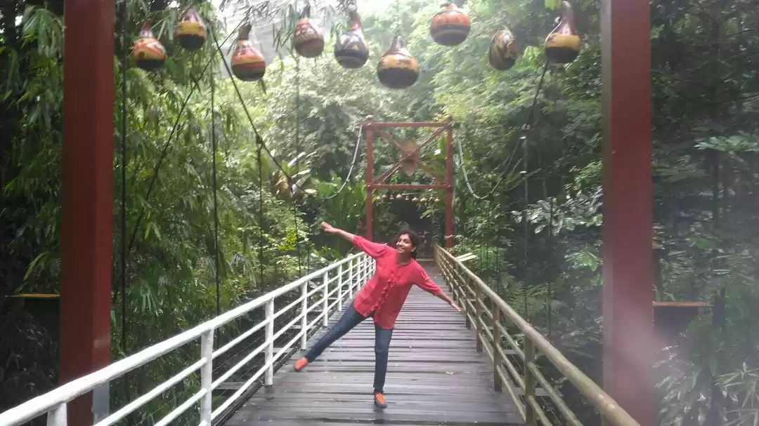 Photo of Jungle in the develo