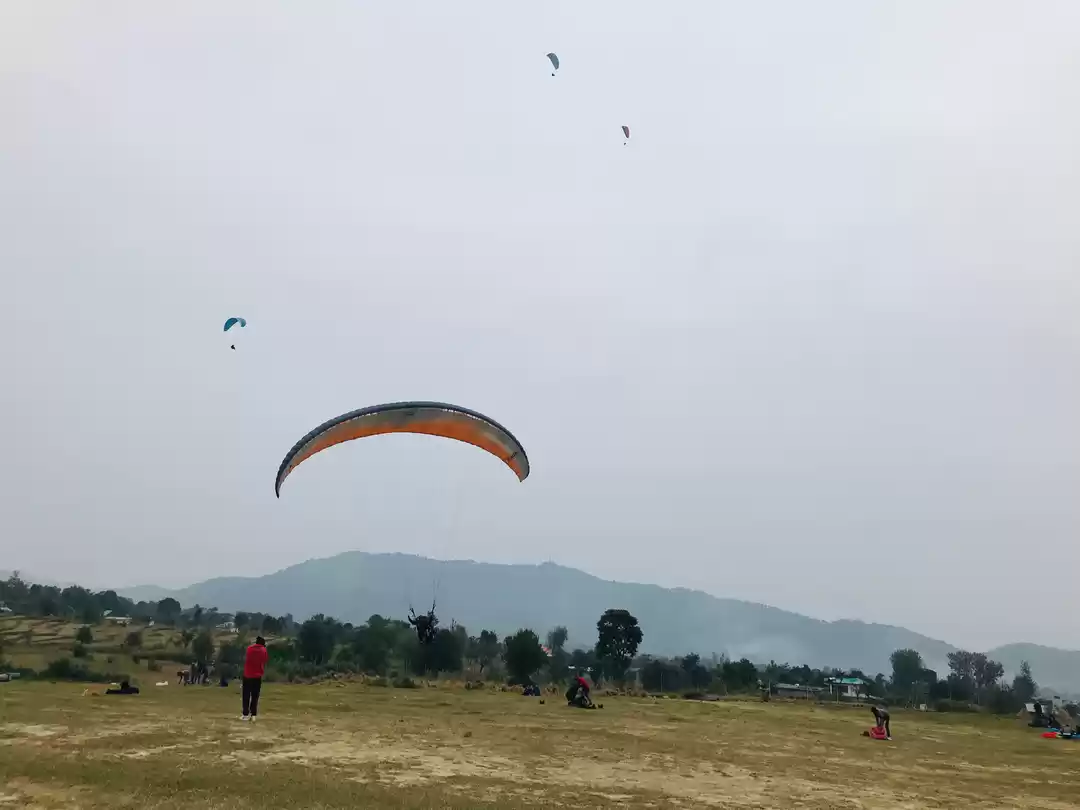 Photo of Fly Away in Bir bill