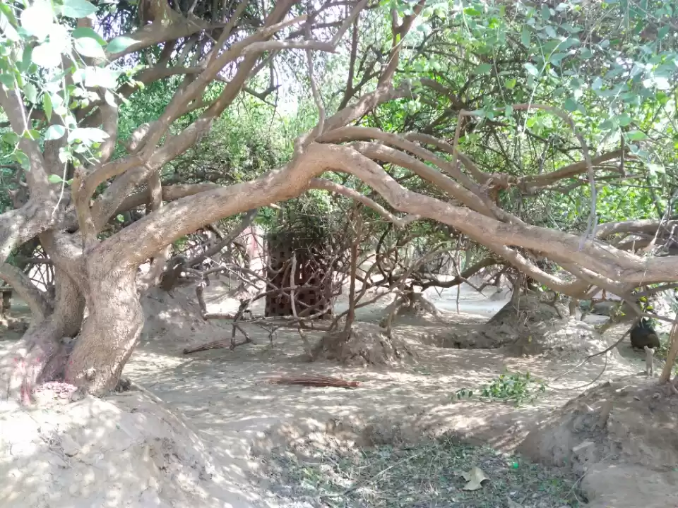 Photo of Land of Lord : Mathu