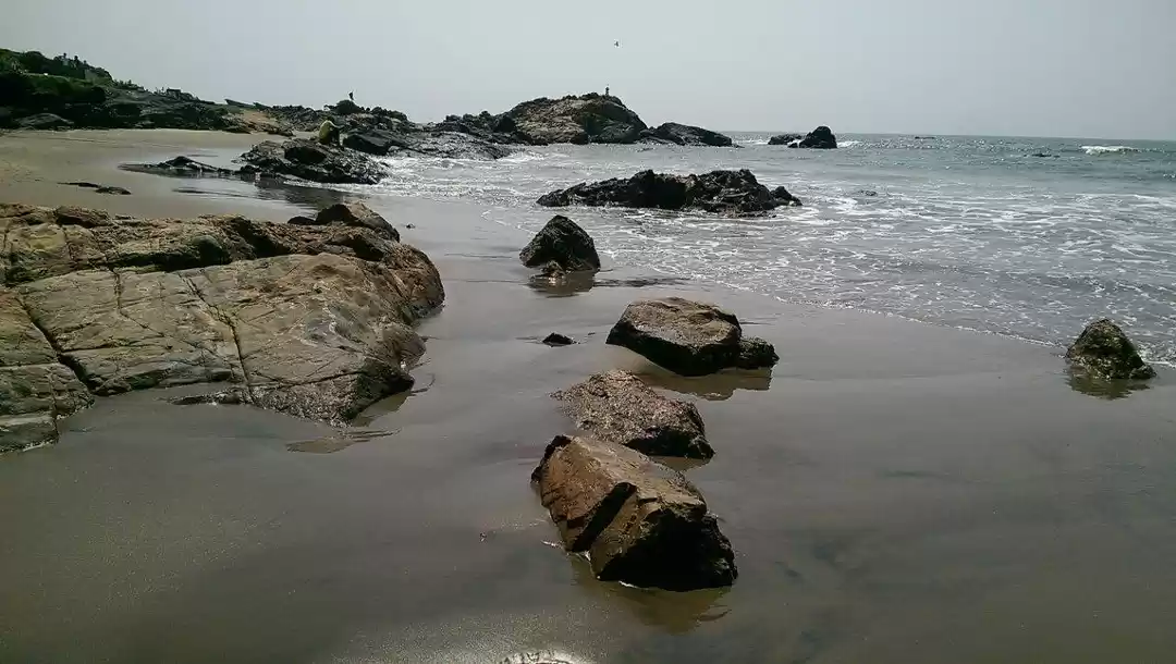 Photo of What in the world wo