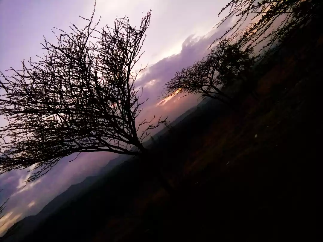 Photo of Purushwadi : An Ode 