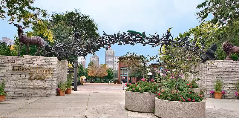 Photo of Things to do in Chic