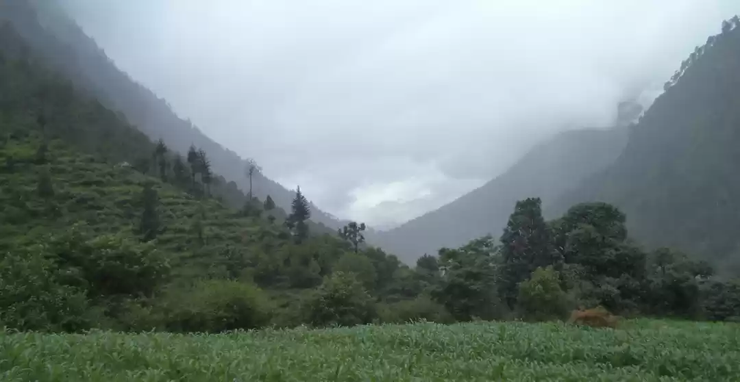 Photo of Delhi to Gushaini Tr