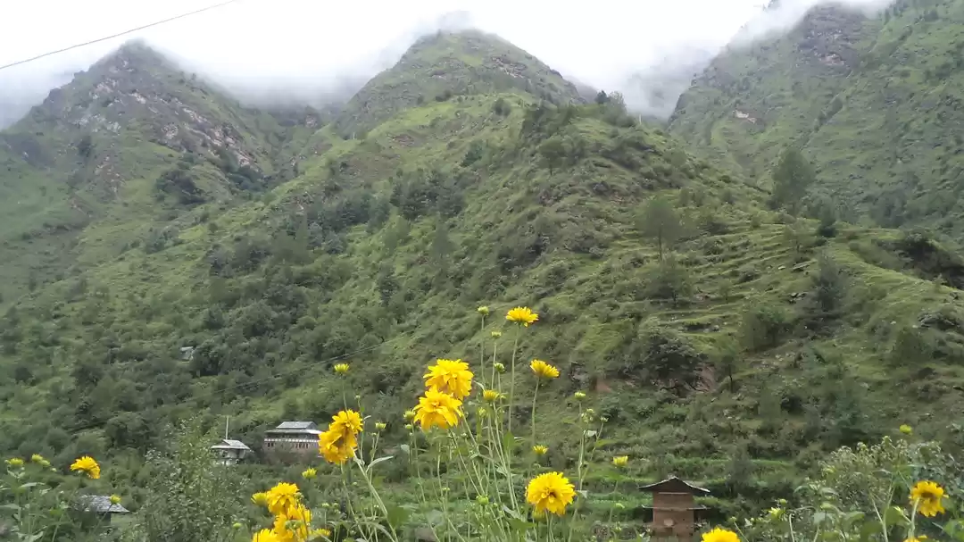 Photo of Offbeat romantic esc