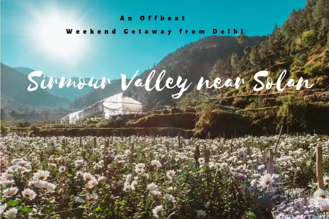 Photo of Sirmour Himachal Pra