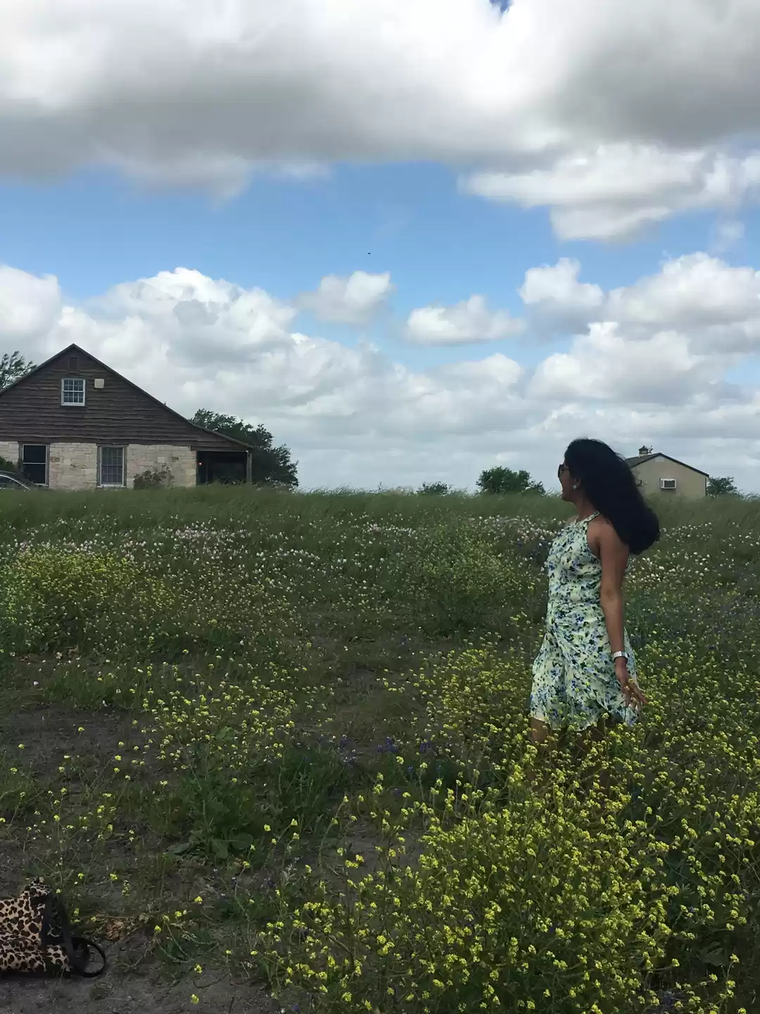 Photo of An enchanting meadow