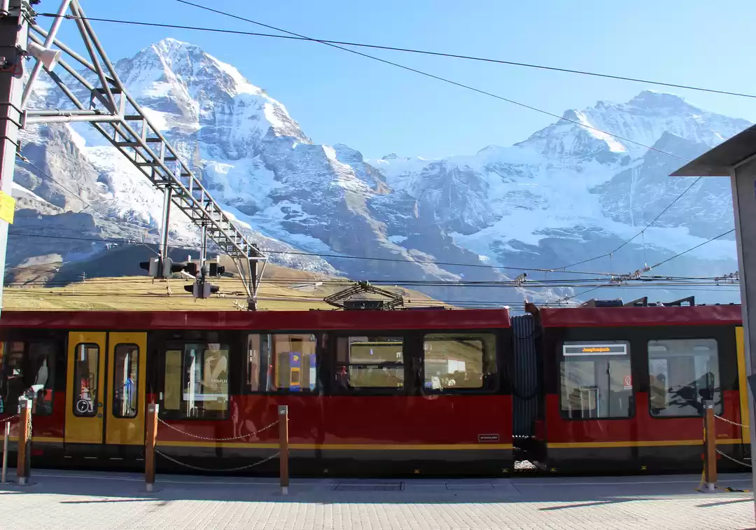 Photo of A glimpse of Switzer