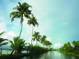 Photo of Kerala tourism's tru