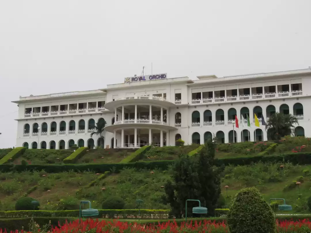 Photo of Royal Orchid Brindav