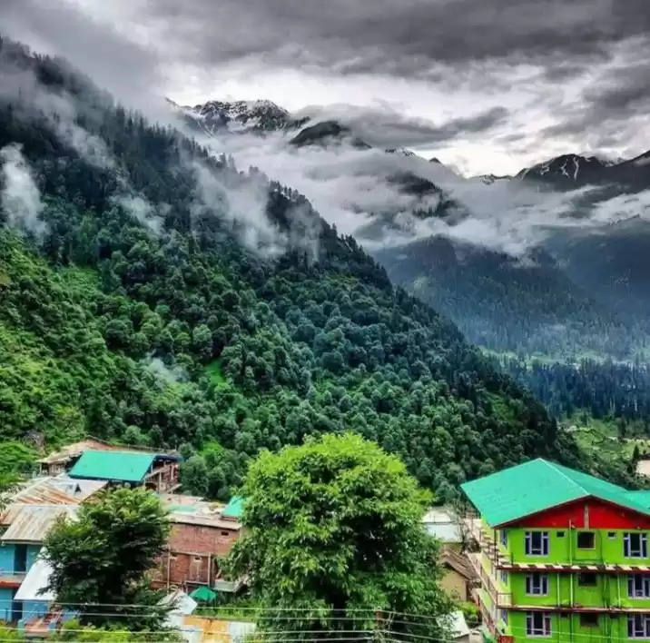 Photo of Experienced LivE Sn