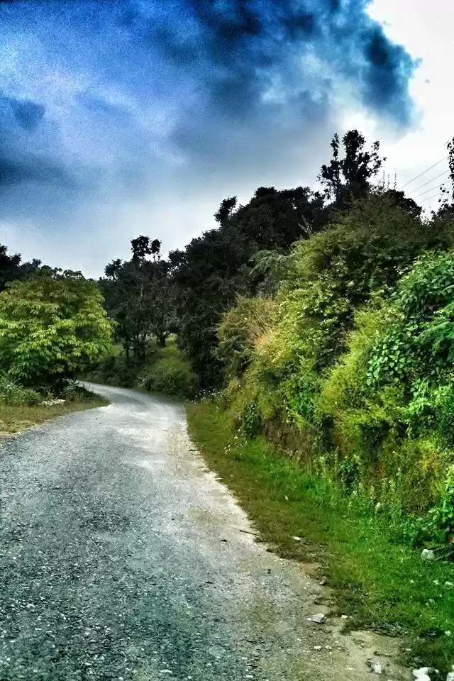 Photo of Dunagiri – The Land 