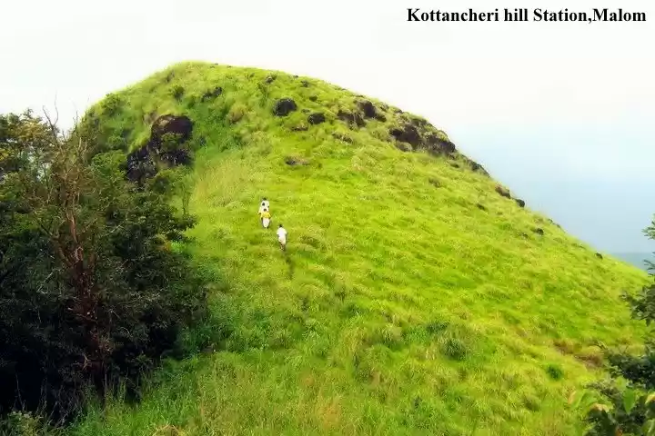Photo of Malom, Green mountai